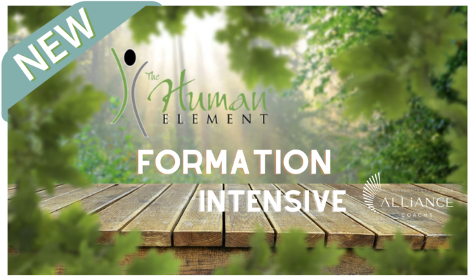 Formation intensive Elément Humain